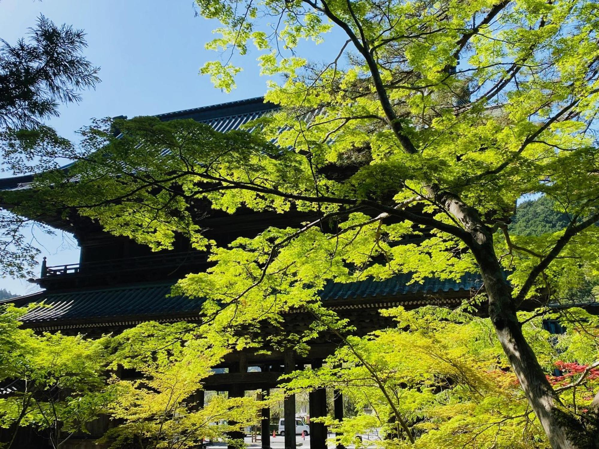 田中屋旅館 身延町 エクステリア 写真