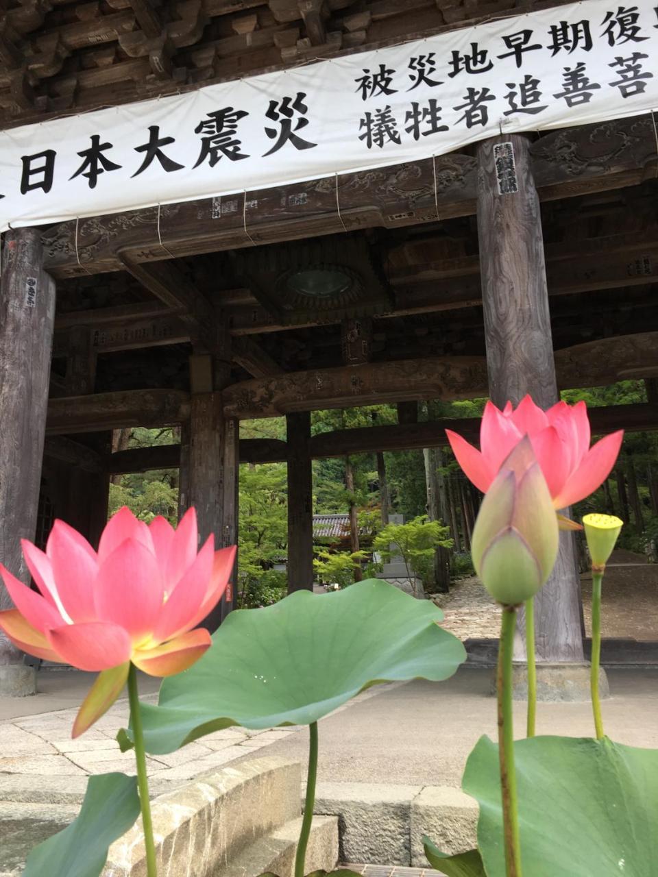 田中屋旅館 身延町 エクステリア 写真