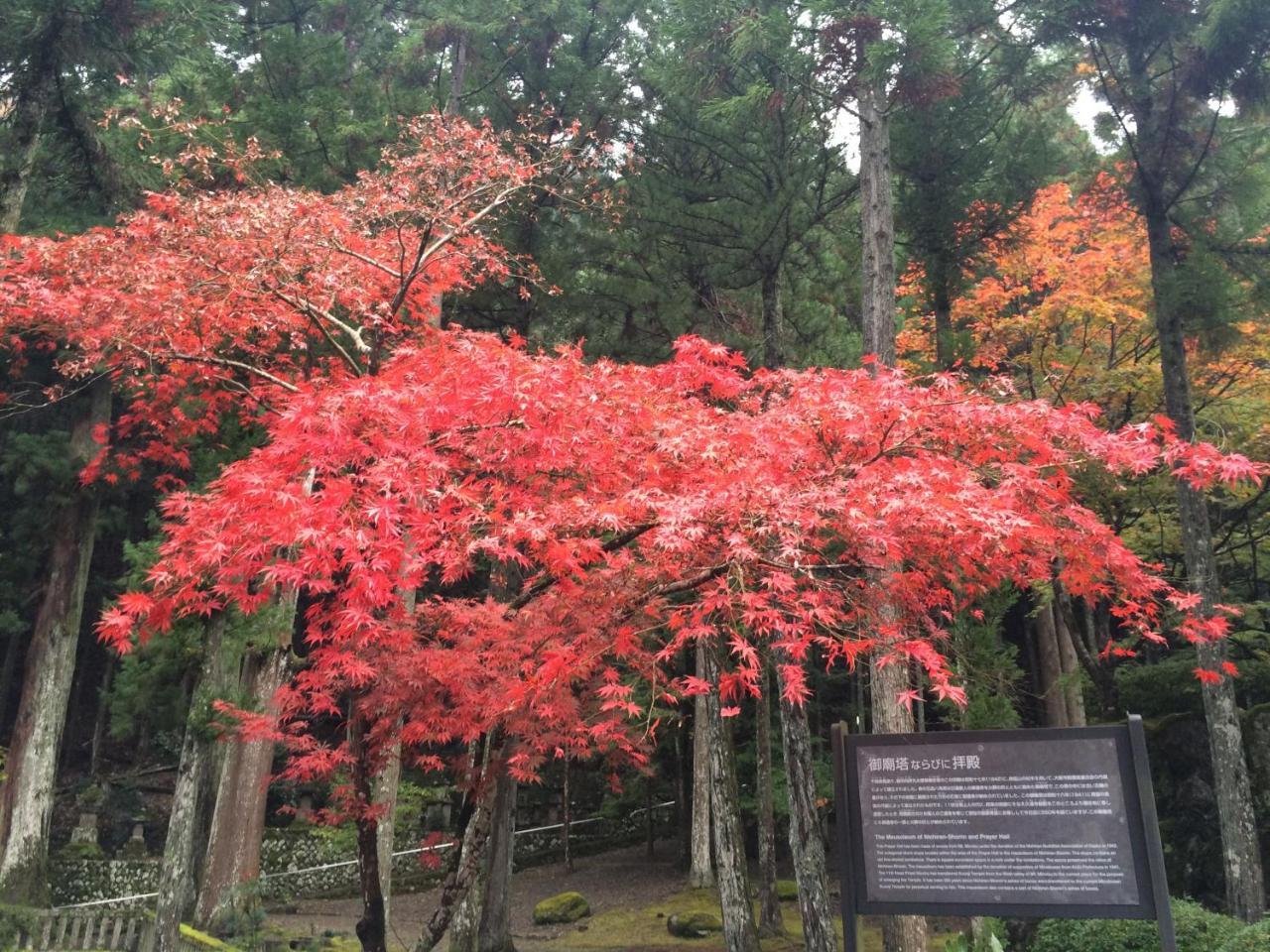 田中屋旅館 身延町 エクステリア 写真